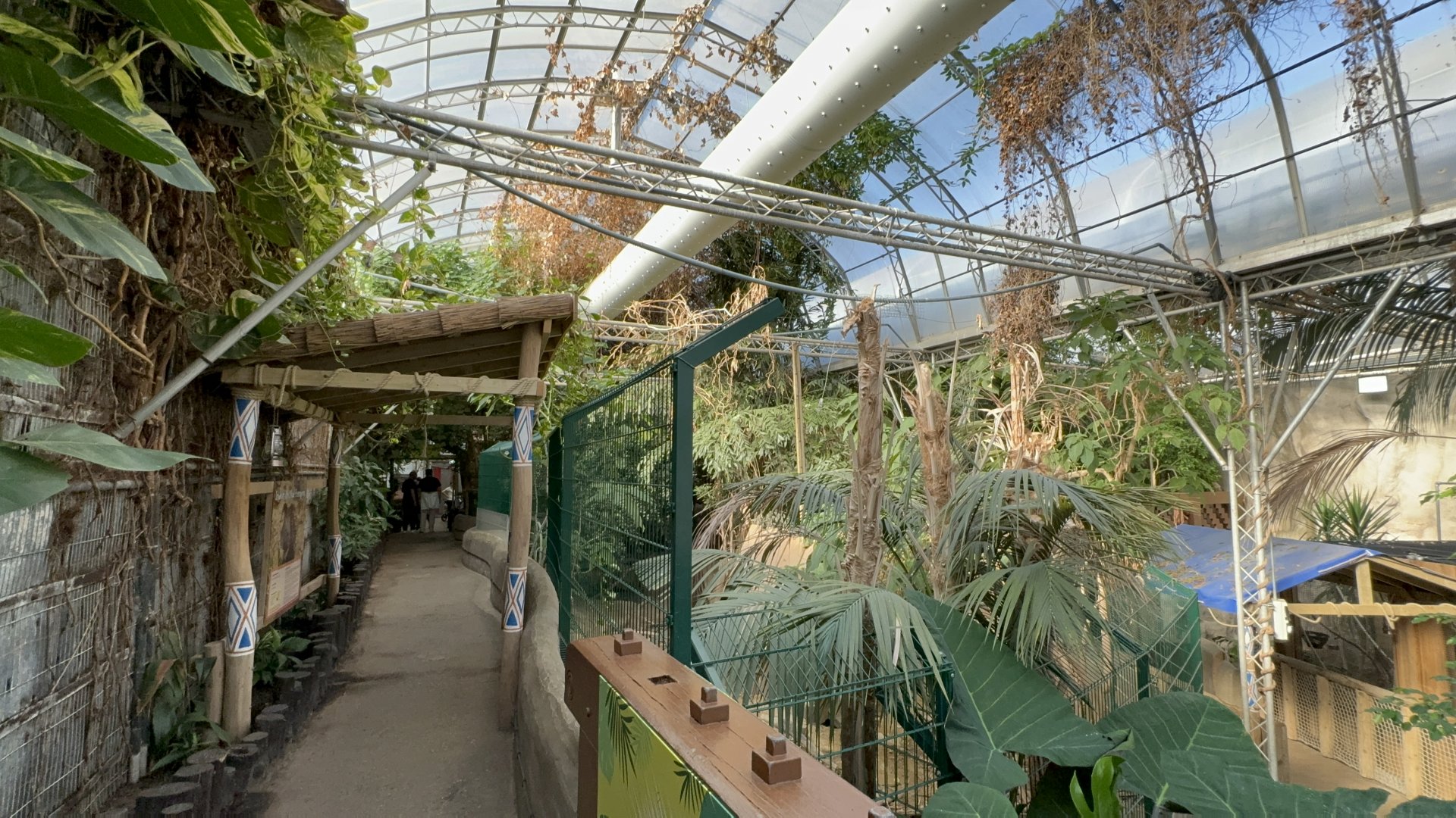 Rainforest Canopy House at Tropical World (October 2024)