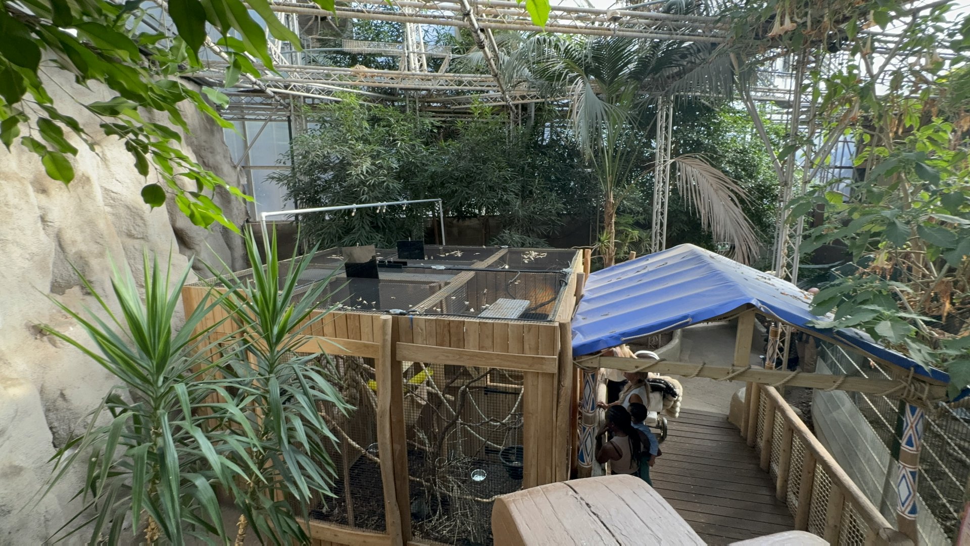 Rainforest Canopy House at Tropical World (October 2024)