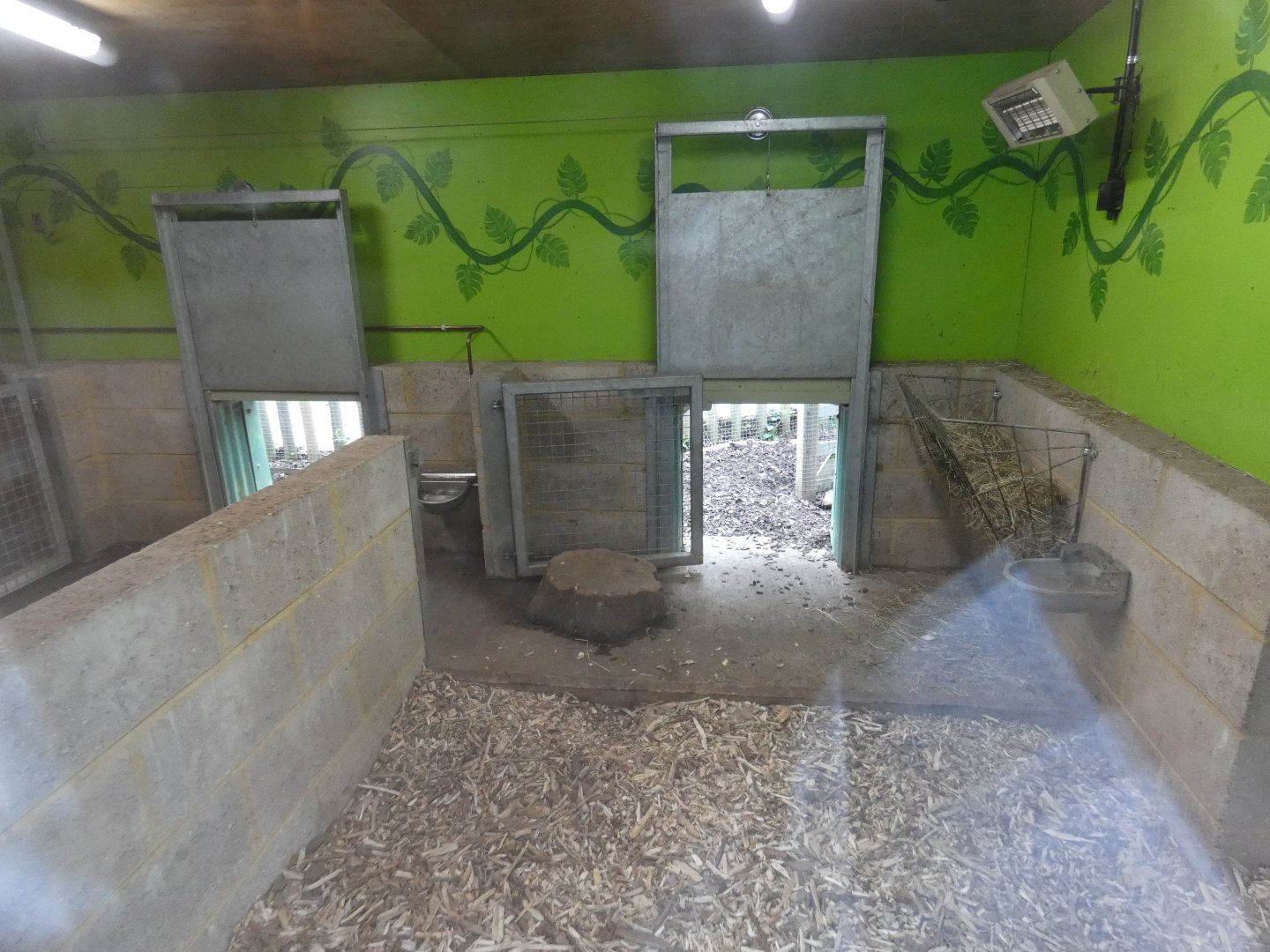 Rainforest: Capybara indoor enclosure