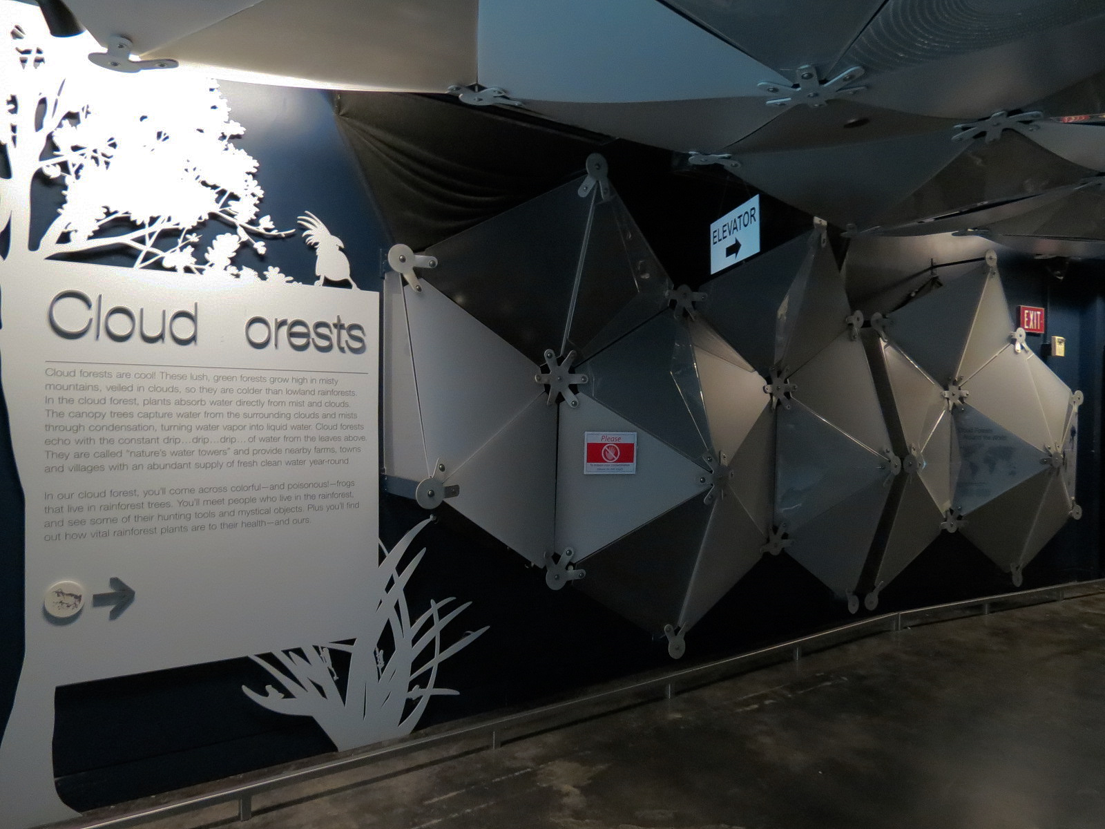 Rainforest - Cloud Forest Gallery Entrance Signage