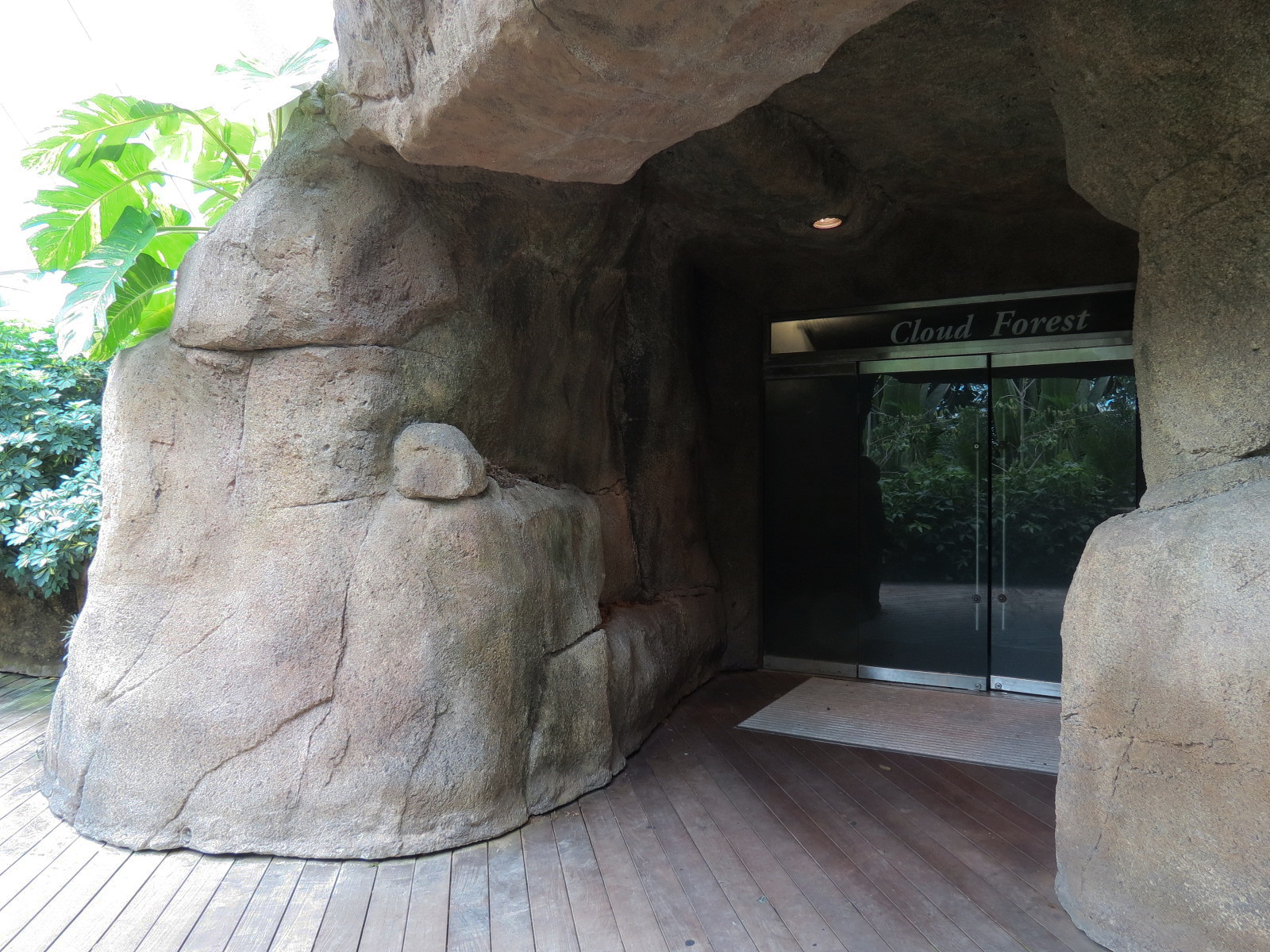 Rainforest - Cloud Forest Gallery Entrance