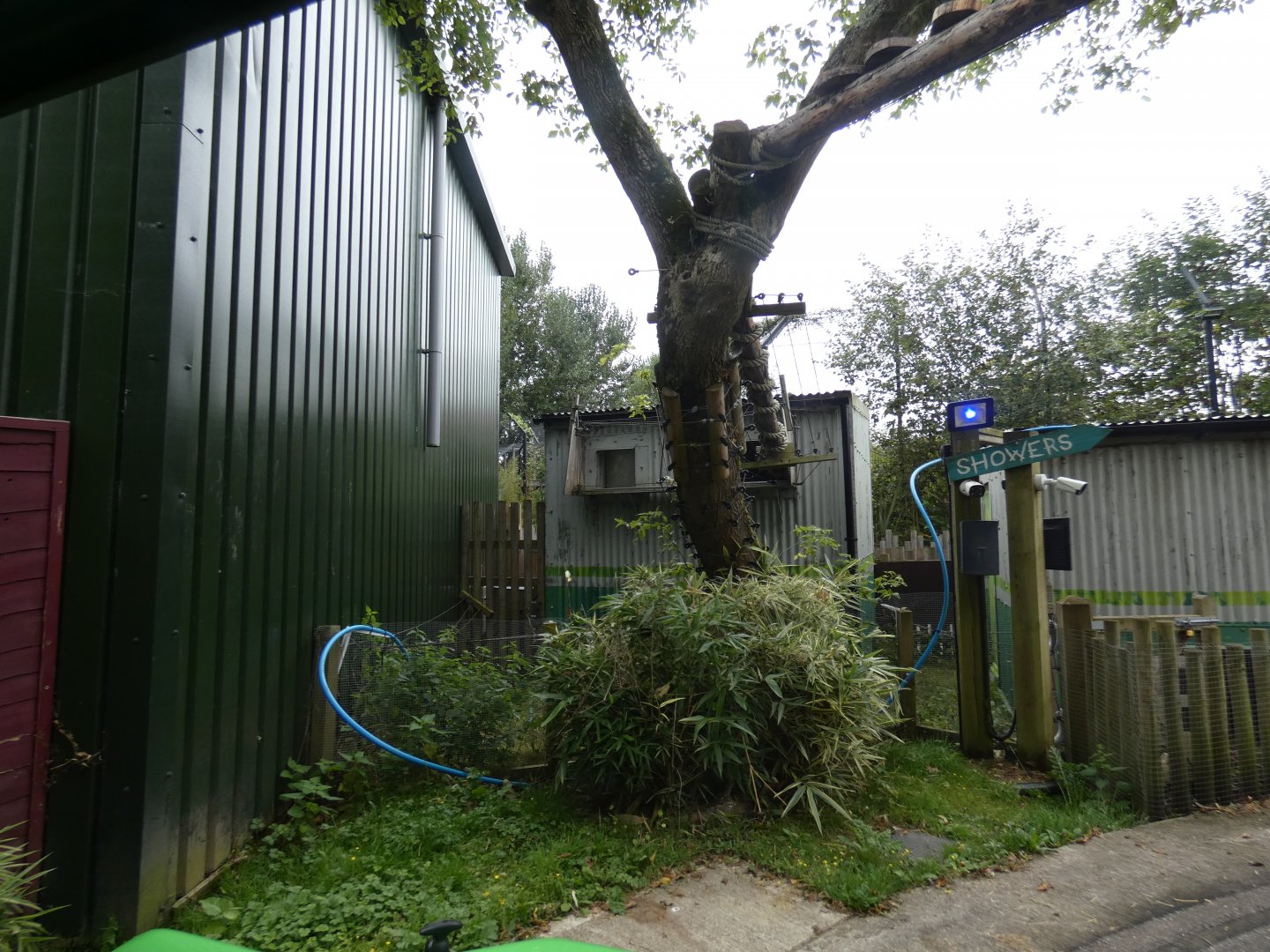 Rainforest: Coati house