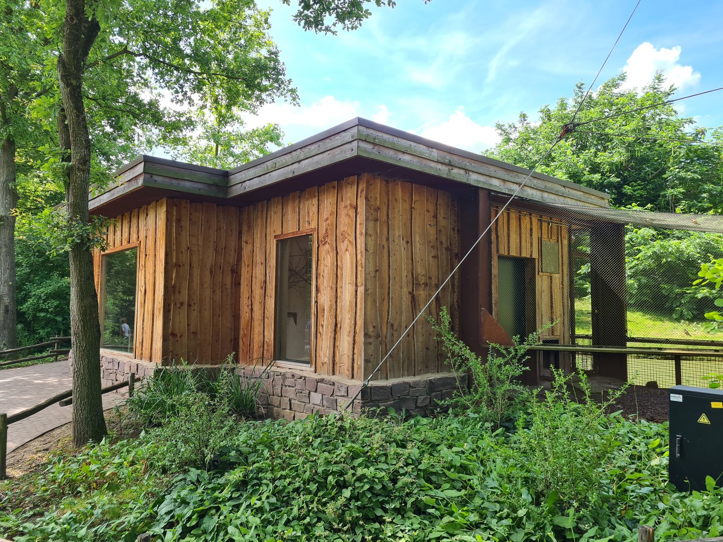 Rainforest - Congo aviary indoor holding