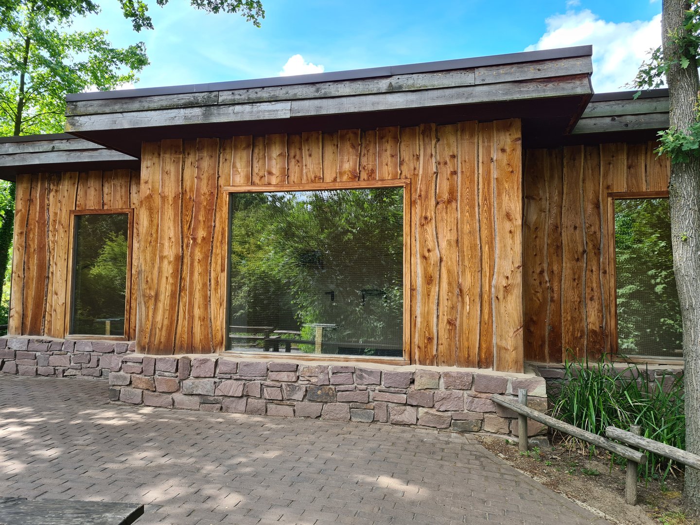 Rainforest - Congo aviary indoor holding