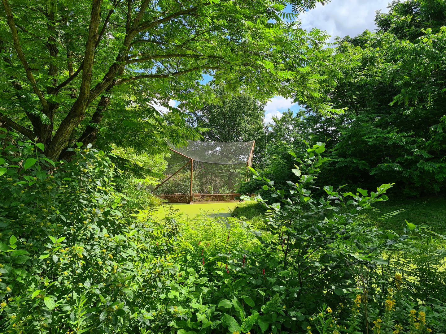 Rainforest - Congo aviary viewed from Gorilla area