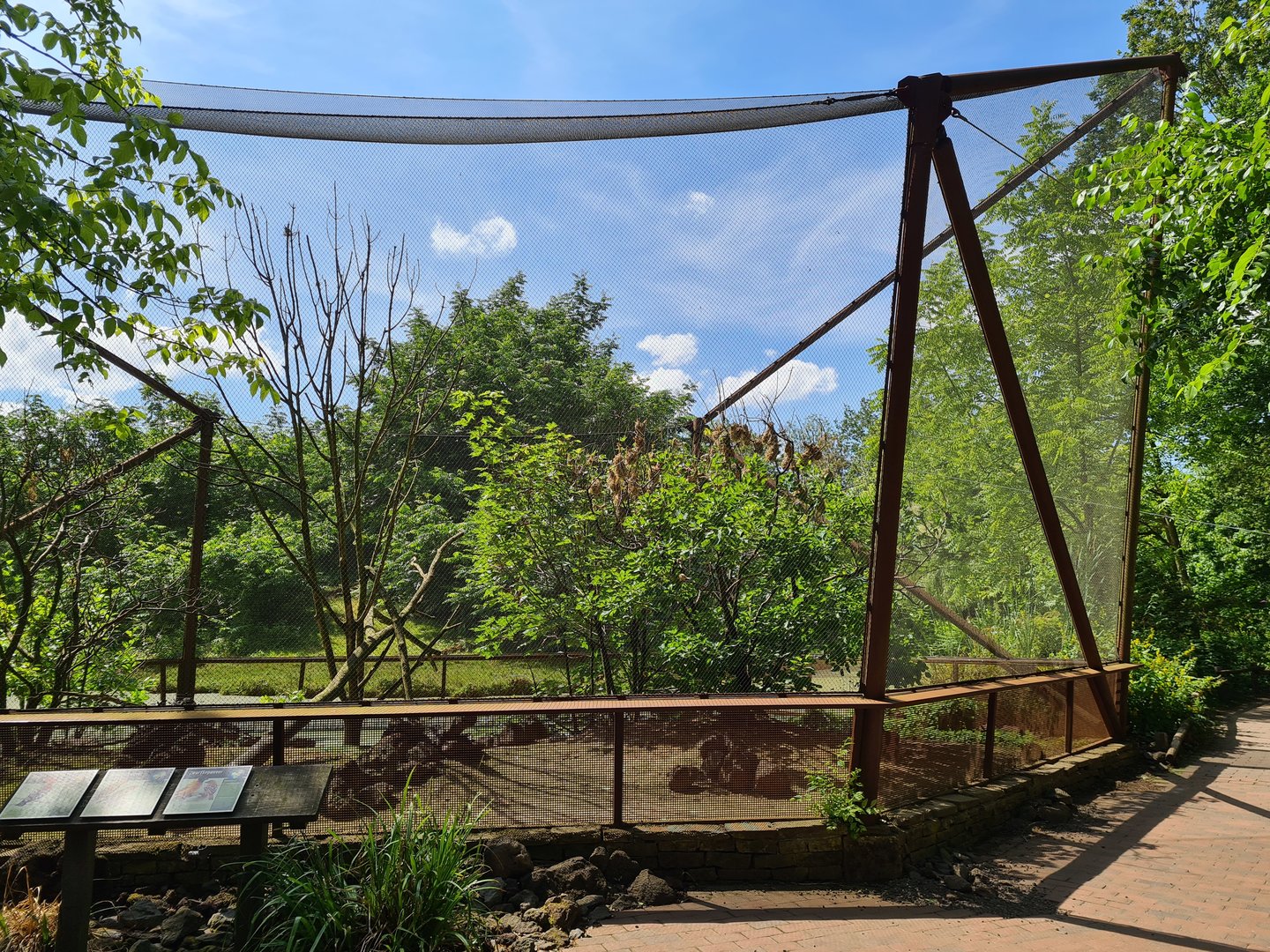 Rainforest - Congo aviary