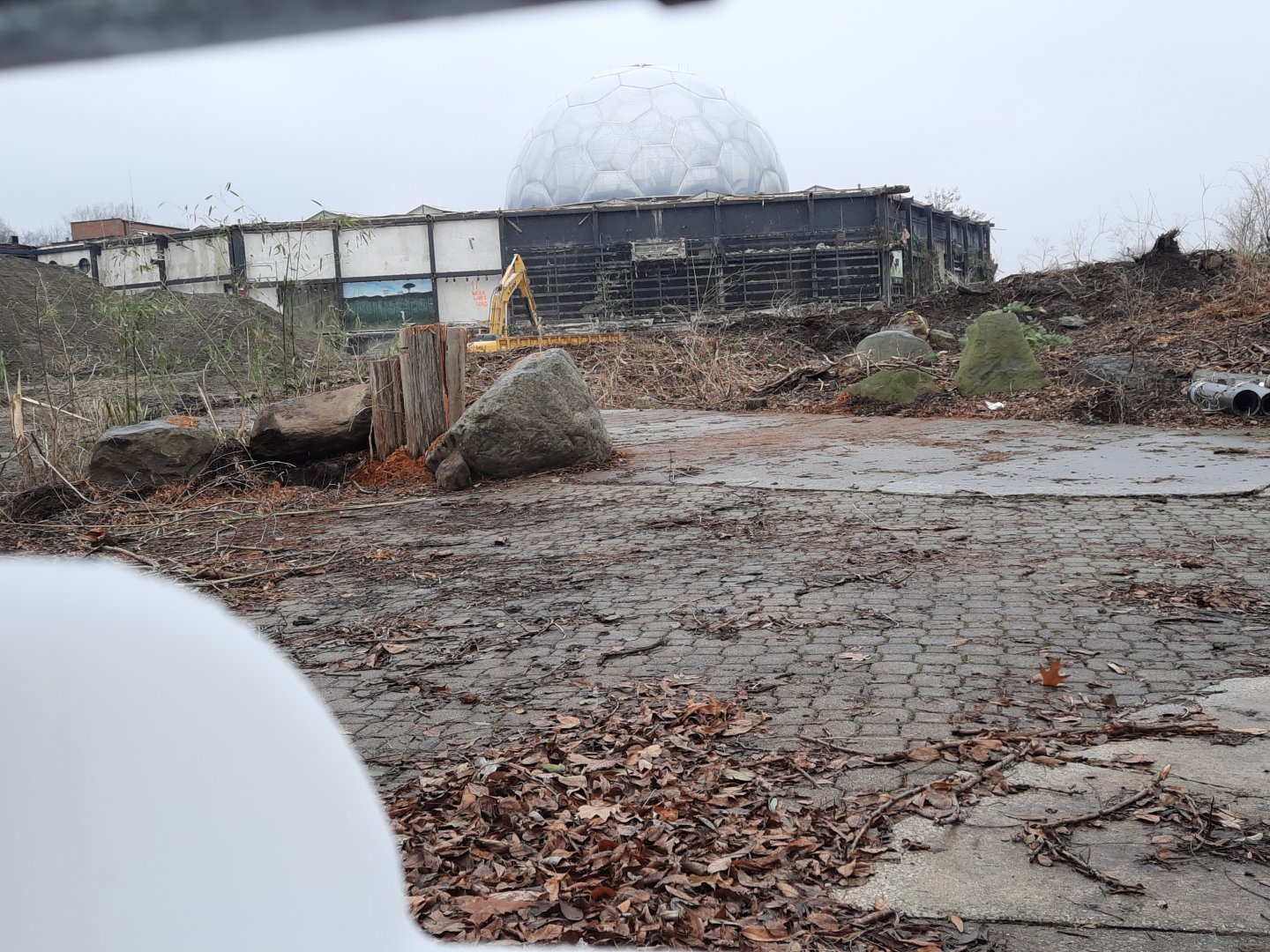 RainForest Demolition 12/20