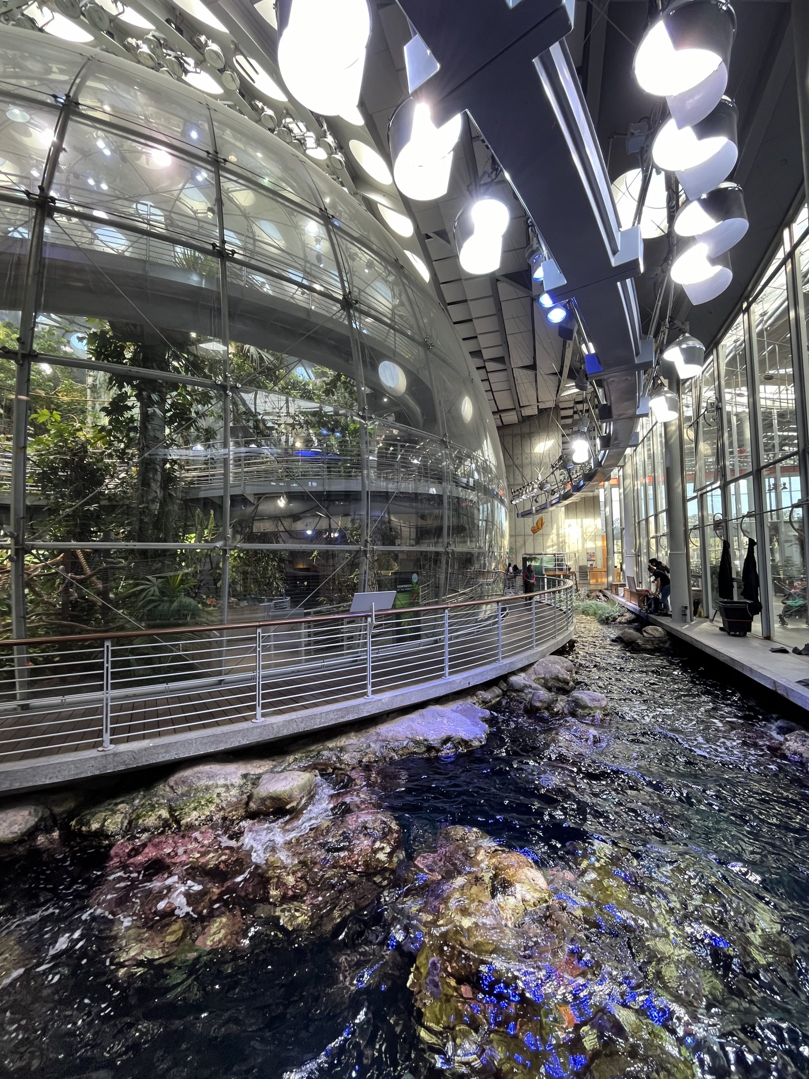 Rainforest Dome + Lagoon