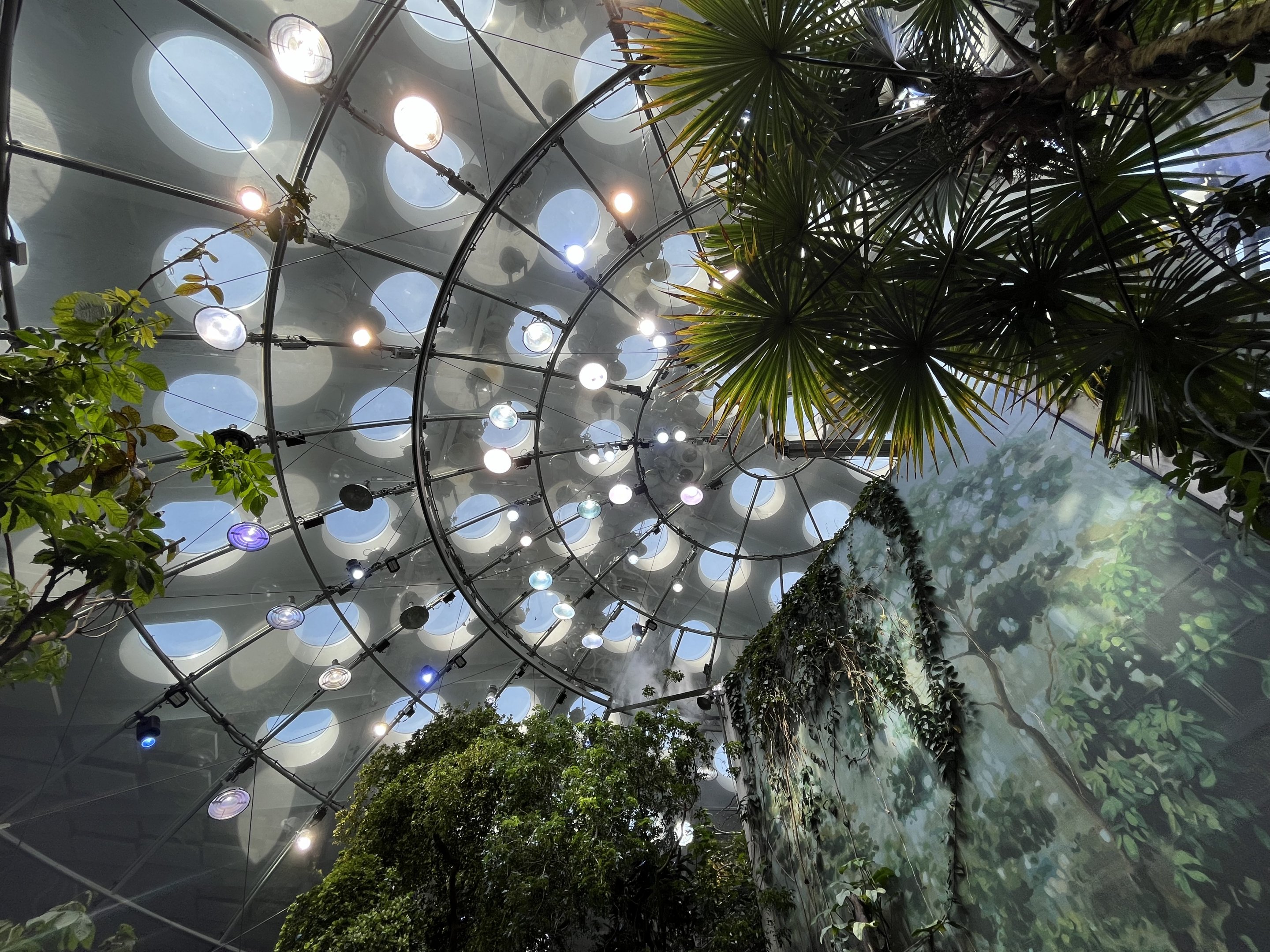 Rainforest Dome
