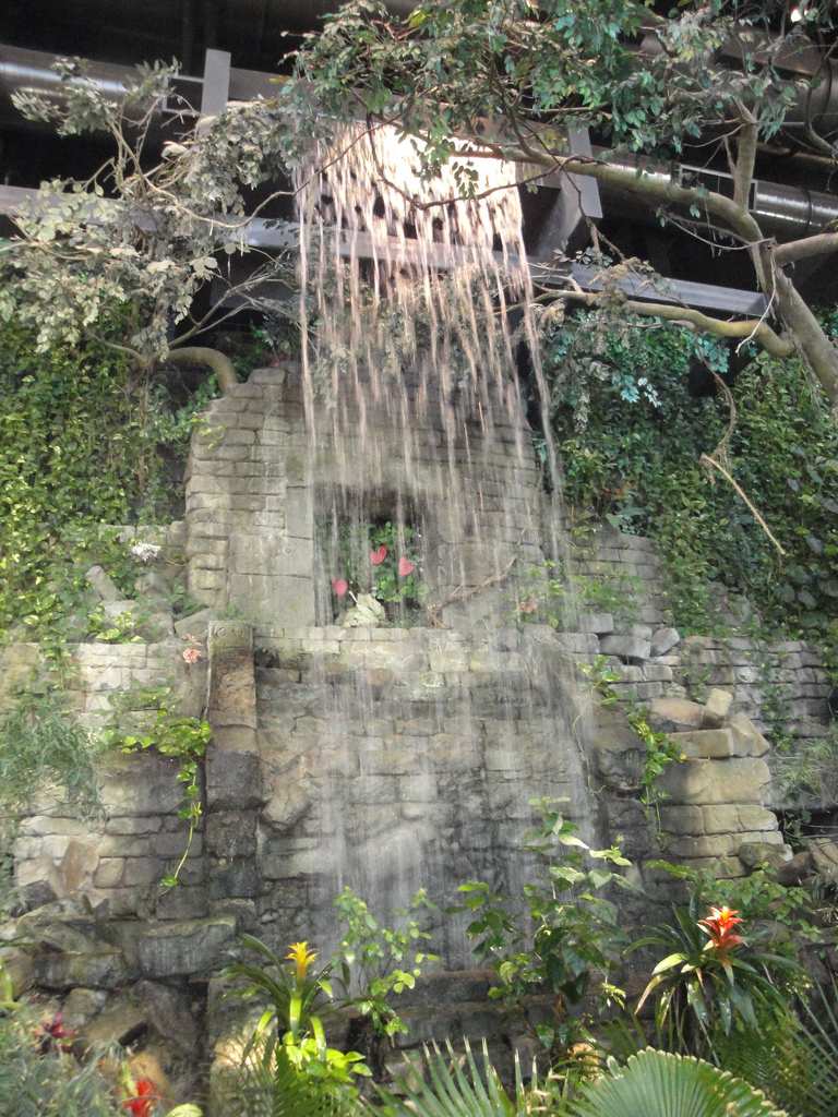 Rainforest - Entrance Waterfall