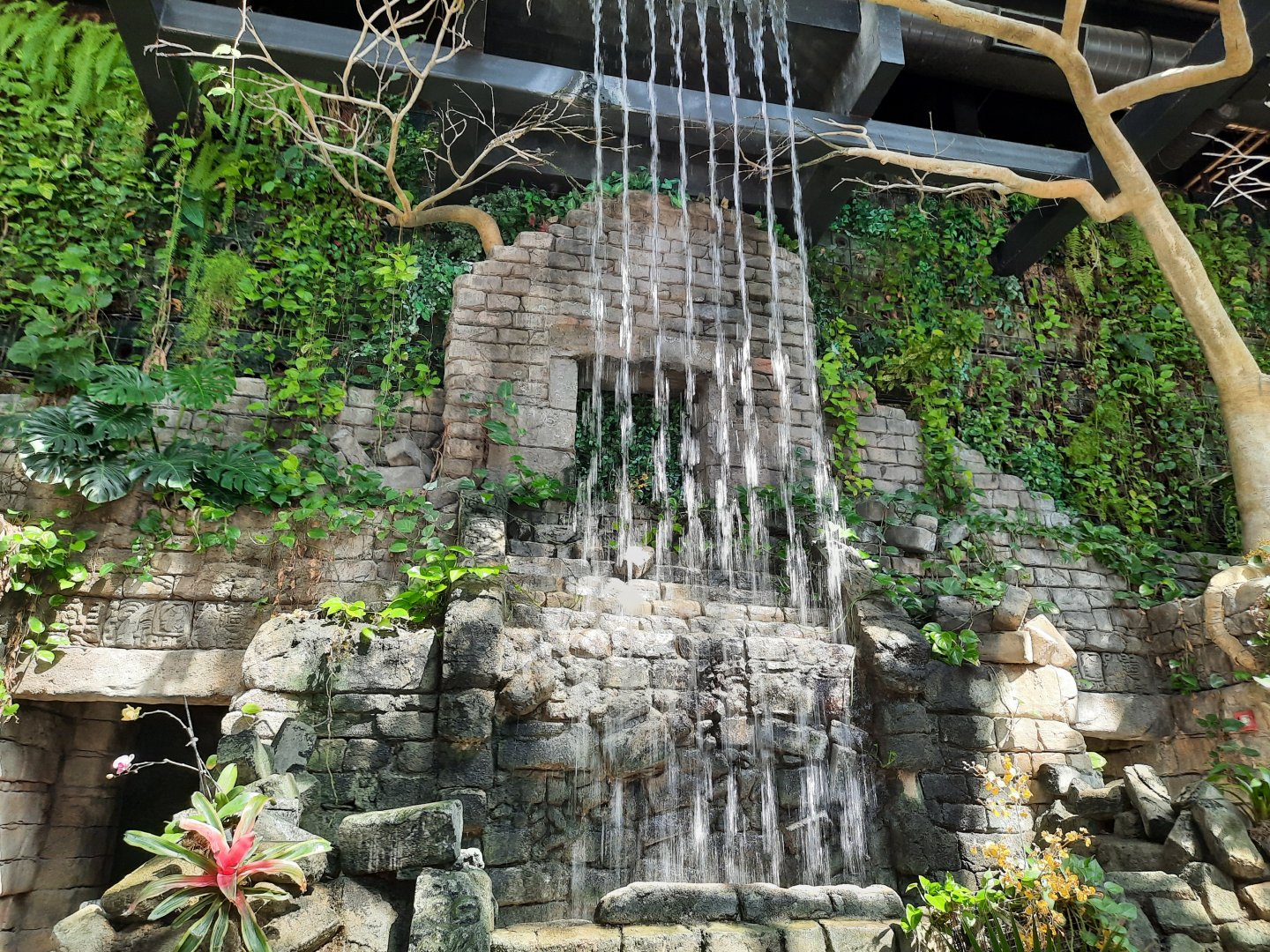 RainForest Entrance Waterfall