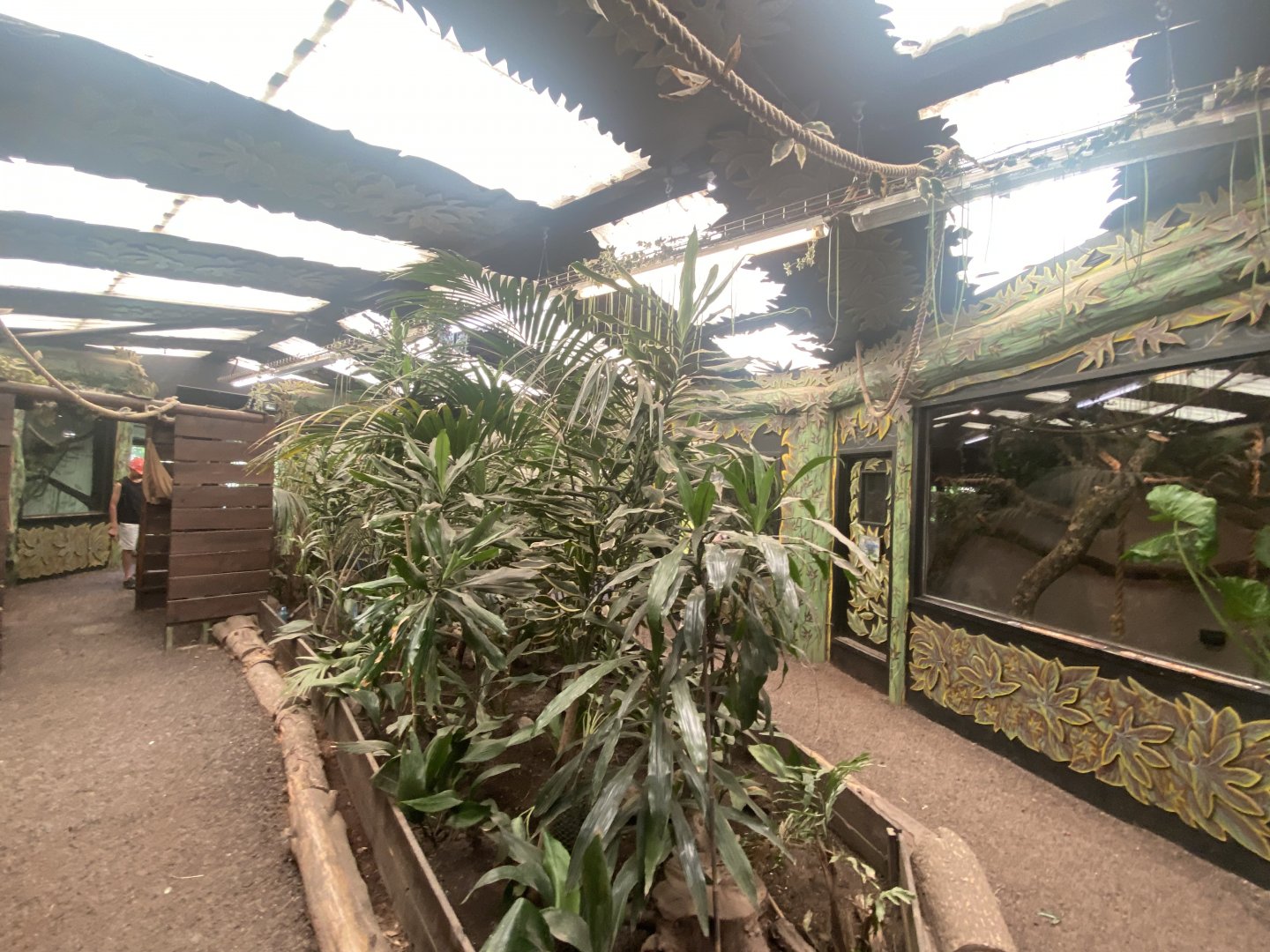 Rainforest exhibit 100722