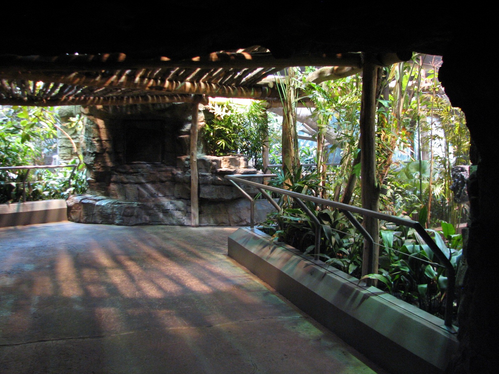 Rainforest - Exhibit Path