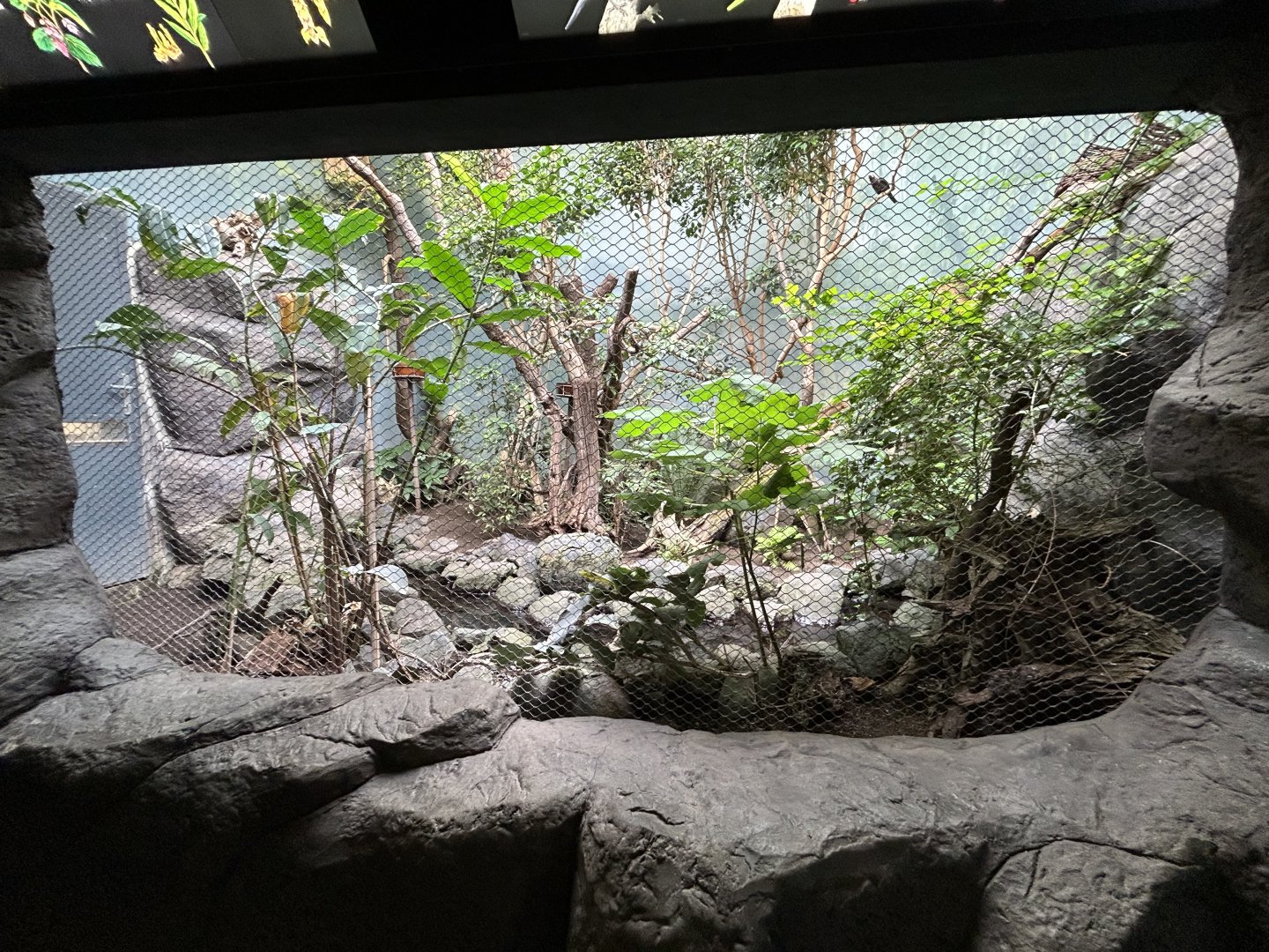 Rainforest Exhibit - Rakos House