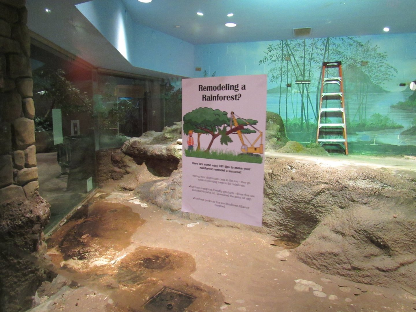 Rainforest exhibit renovation
