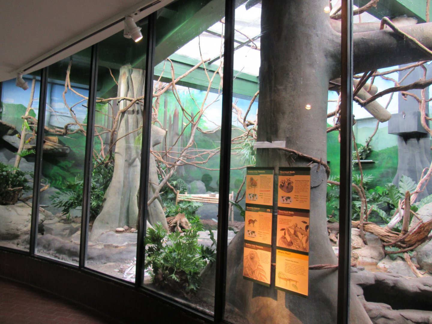 Rainforest exhibit