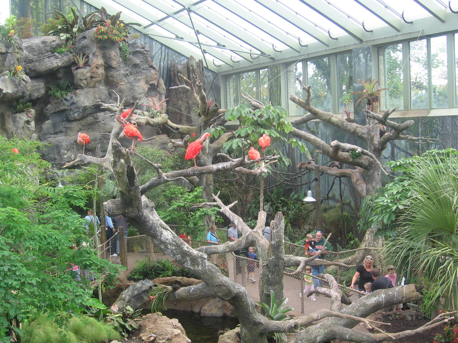 Rainforest Exhibit