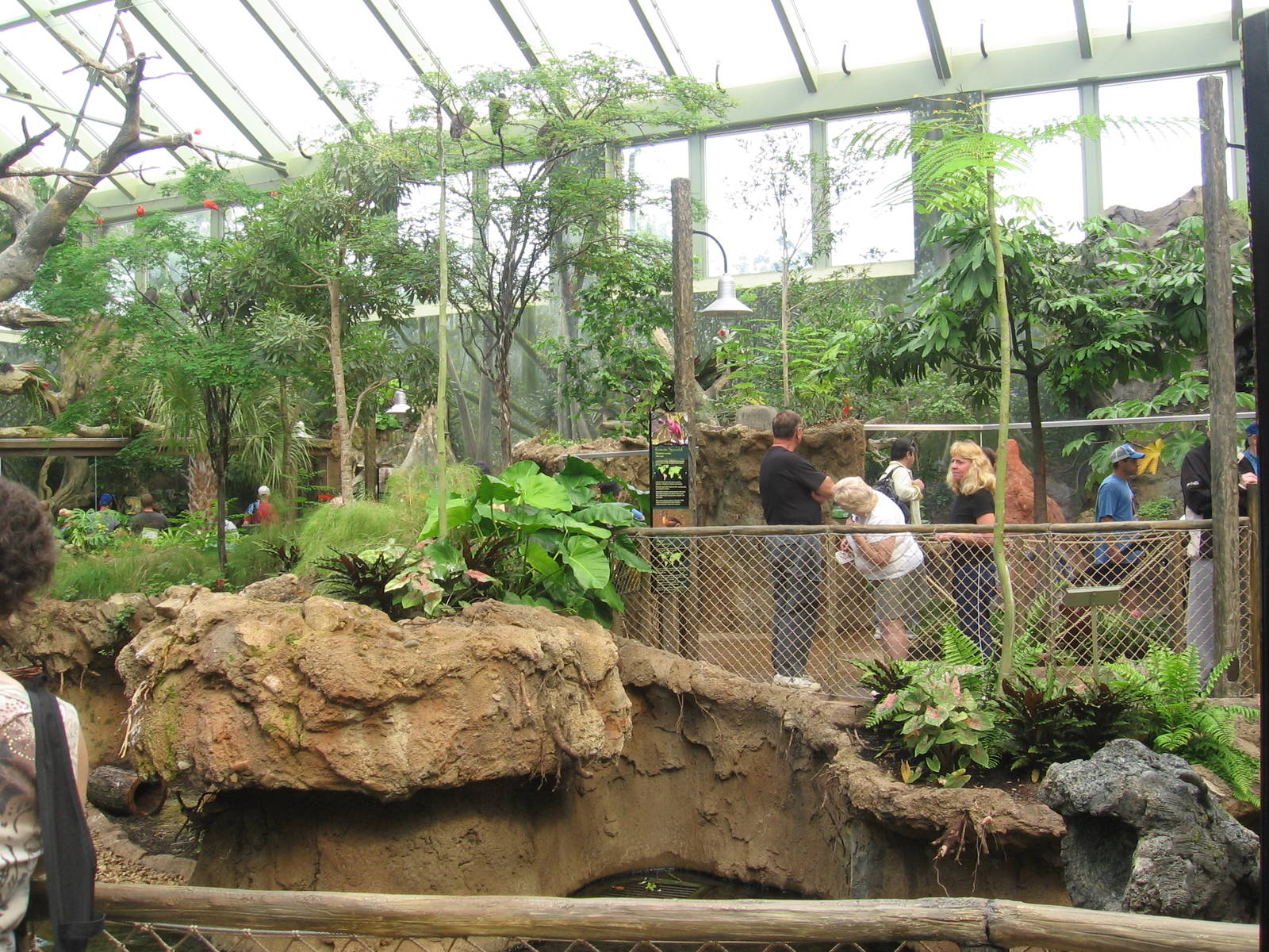Rainforest Exhibit