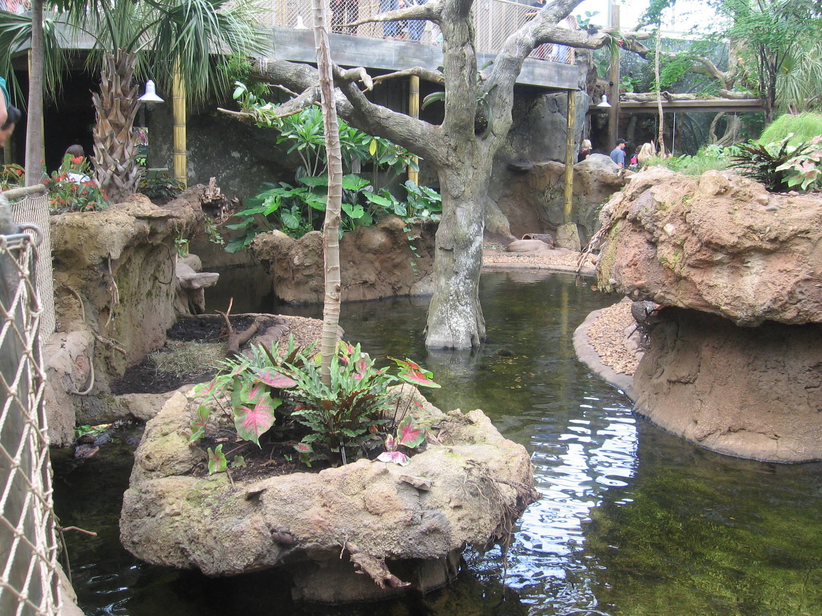 Rainforest Exhibit