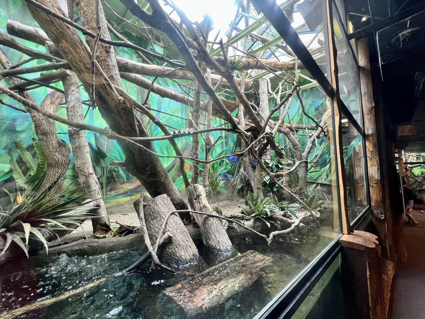 Rainforest Exhibit