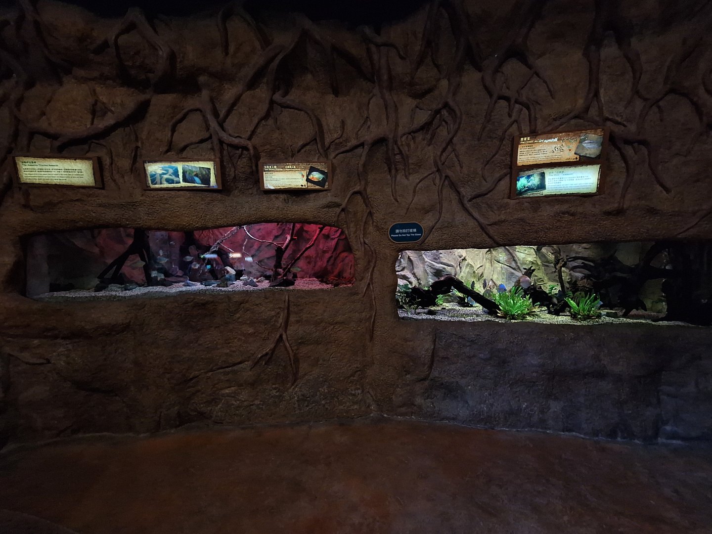 Rainforest Expedition Trail Exhibits