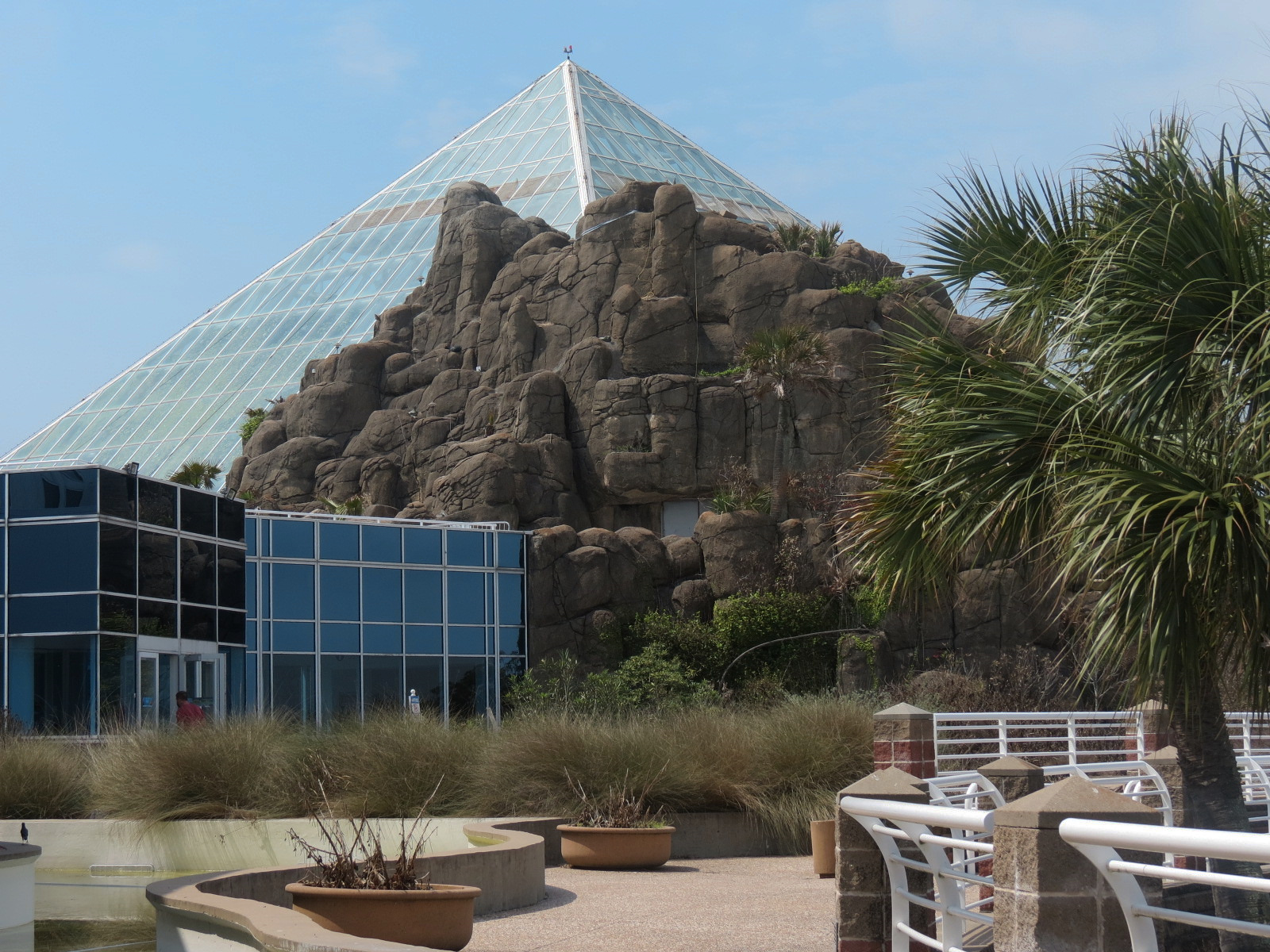 Rainforest - Exterior