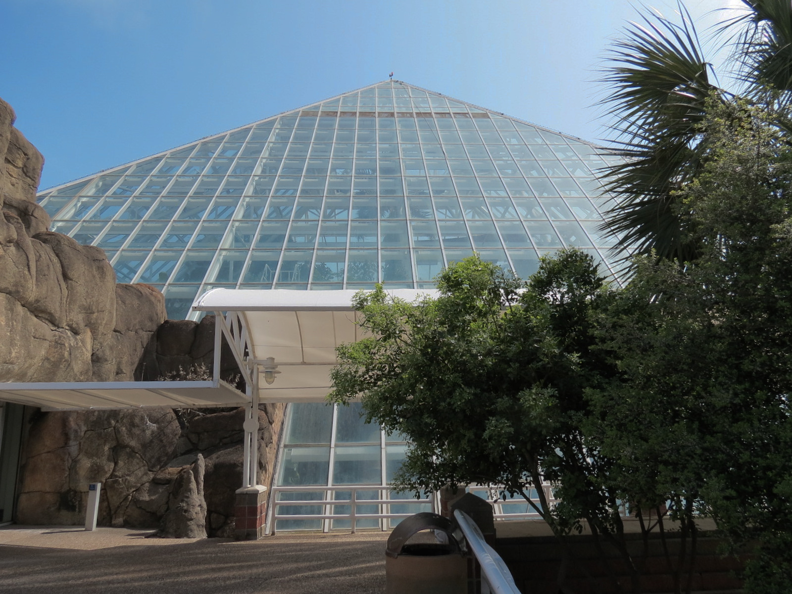 Rainforest - Exterior