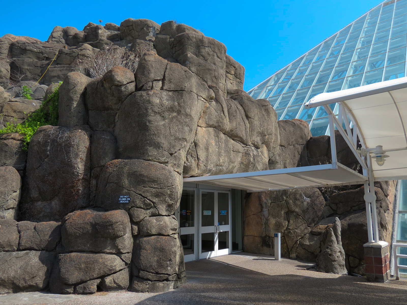 Rainforest - Exterior