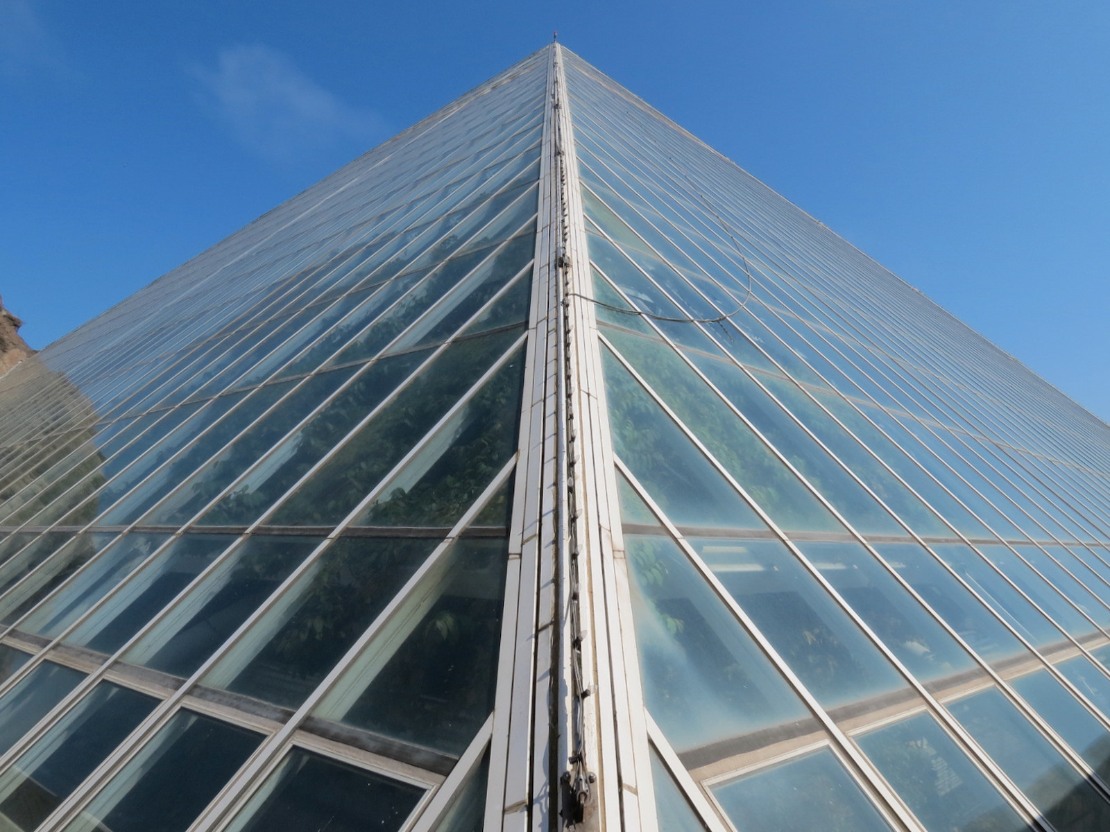 Rainforest - Exterior