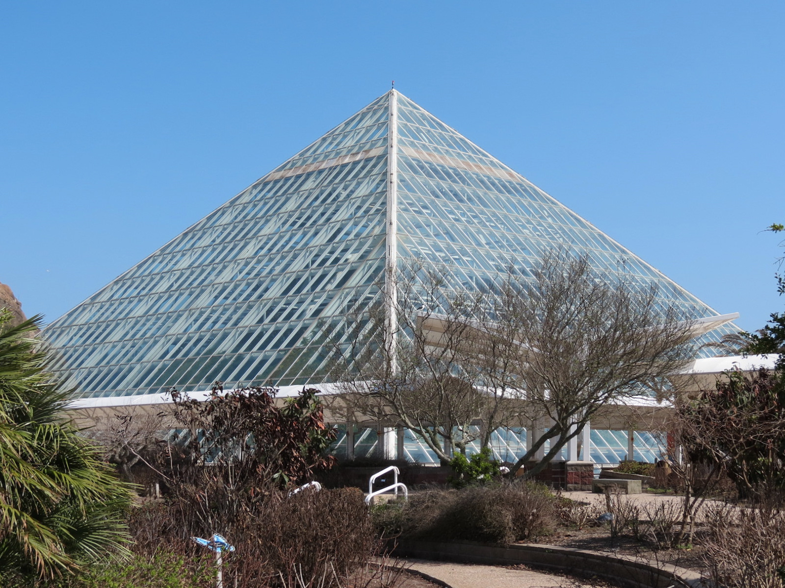 Rainforest - Exterior