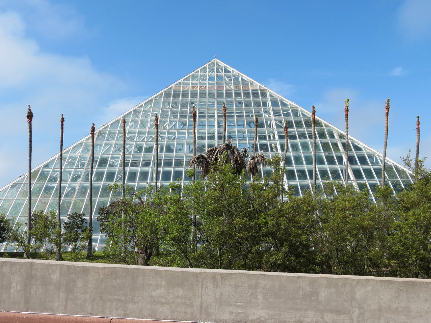 Rainforest - Exterior