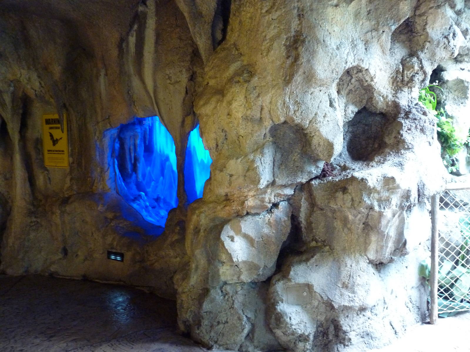 Rainforest Falls - Bat Cave