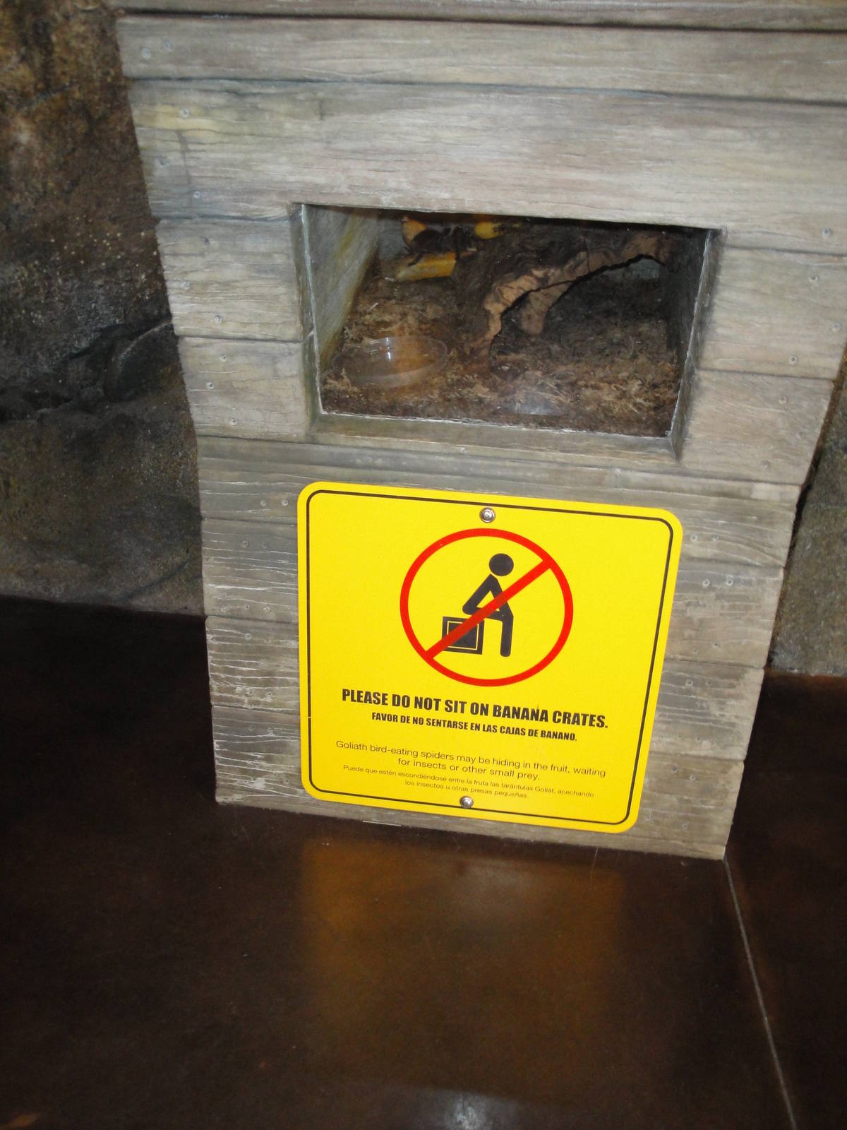 Rainforest Falls - Bird-eating Spider Exhibit