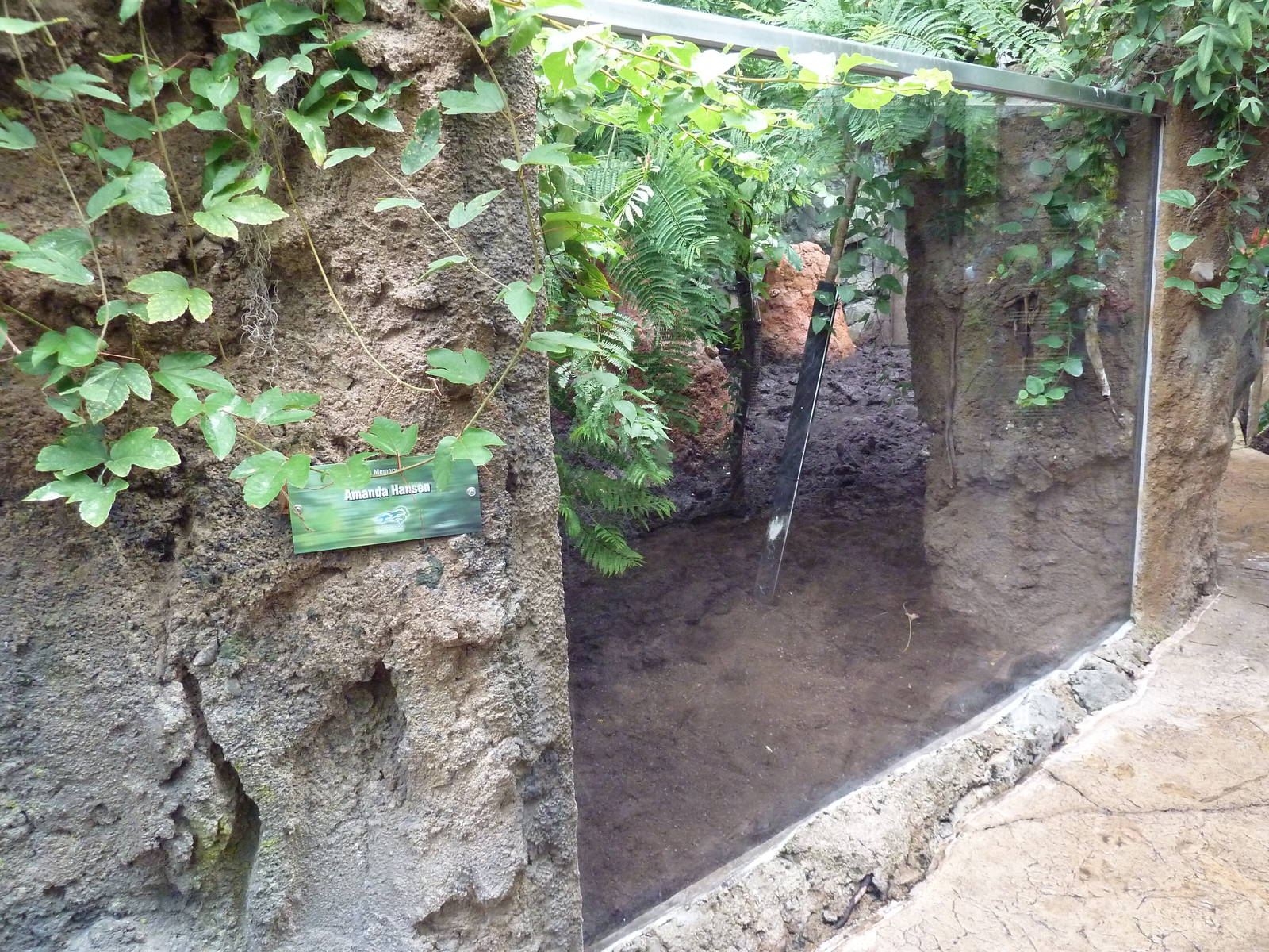 Rainforest Falls - Giant Anteater/Capybara Exhibit