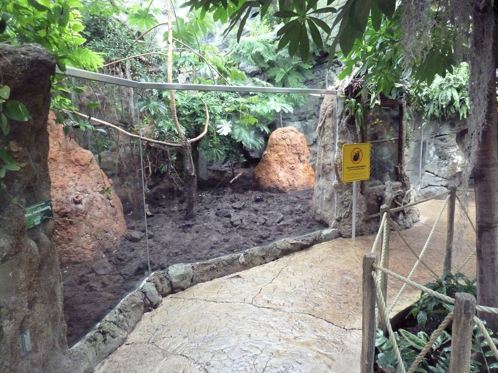 Rainforest Falls - Giant Anteater/Capybara Exhibit