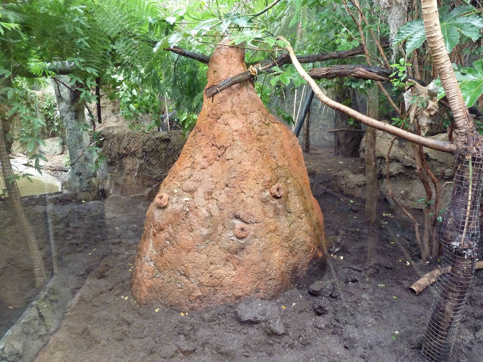 Rainforest Falls - Giant Anteater/Capybara Exhibit