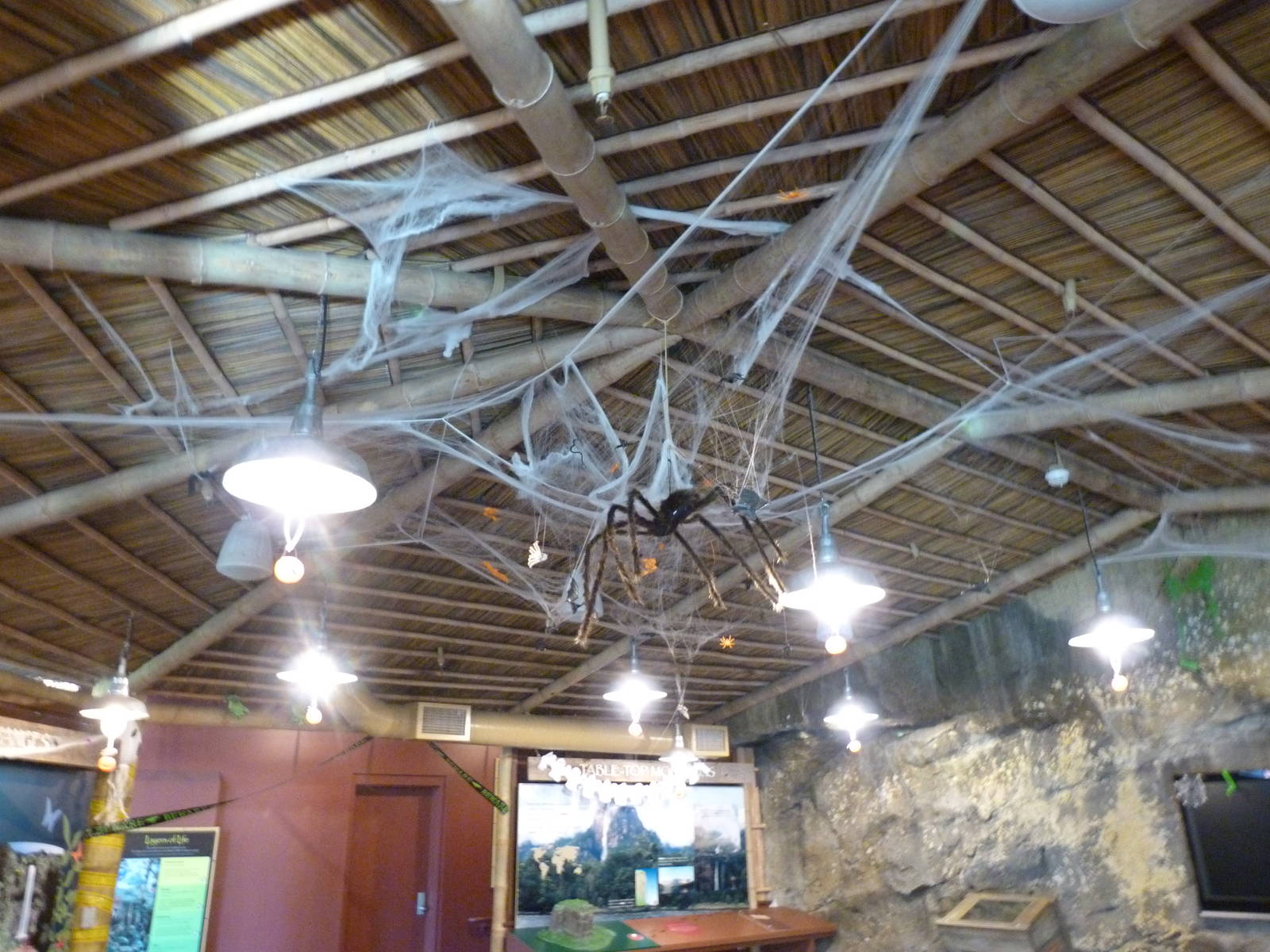 Rainforest Falls Lobby