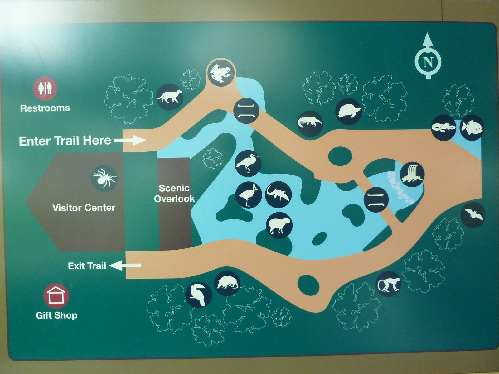 Rainforest Falls - Map