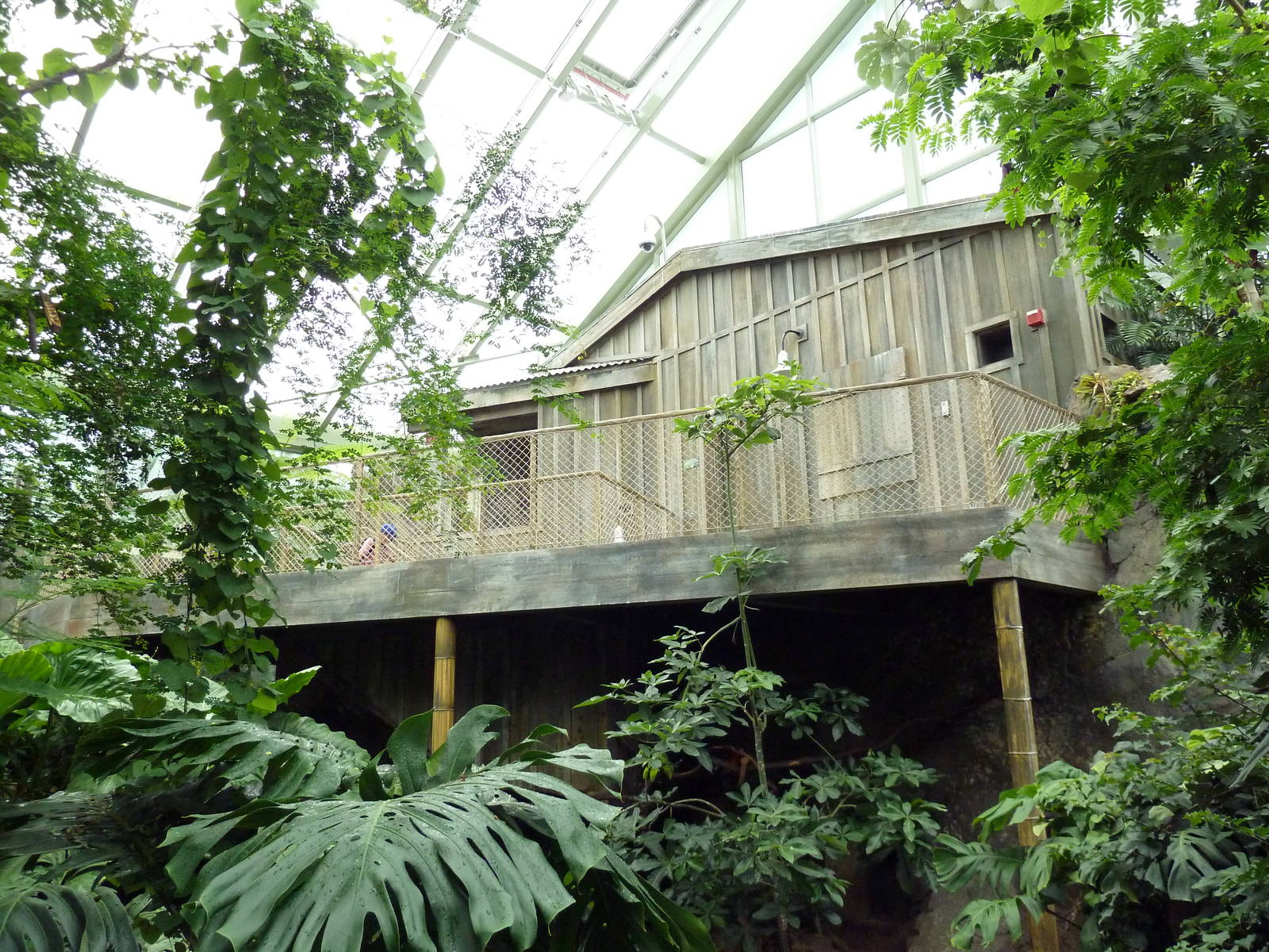 Rainforest Falls - Scenic Overlook