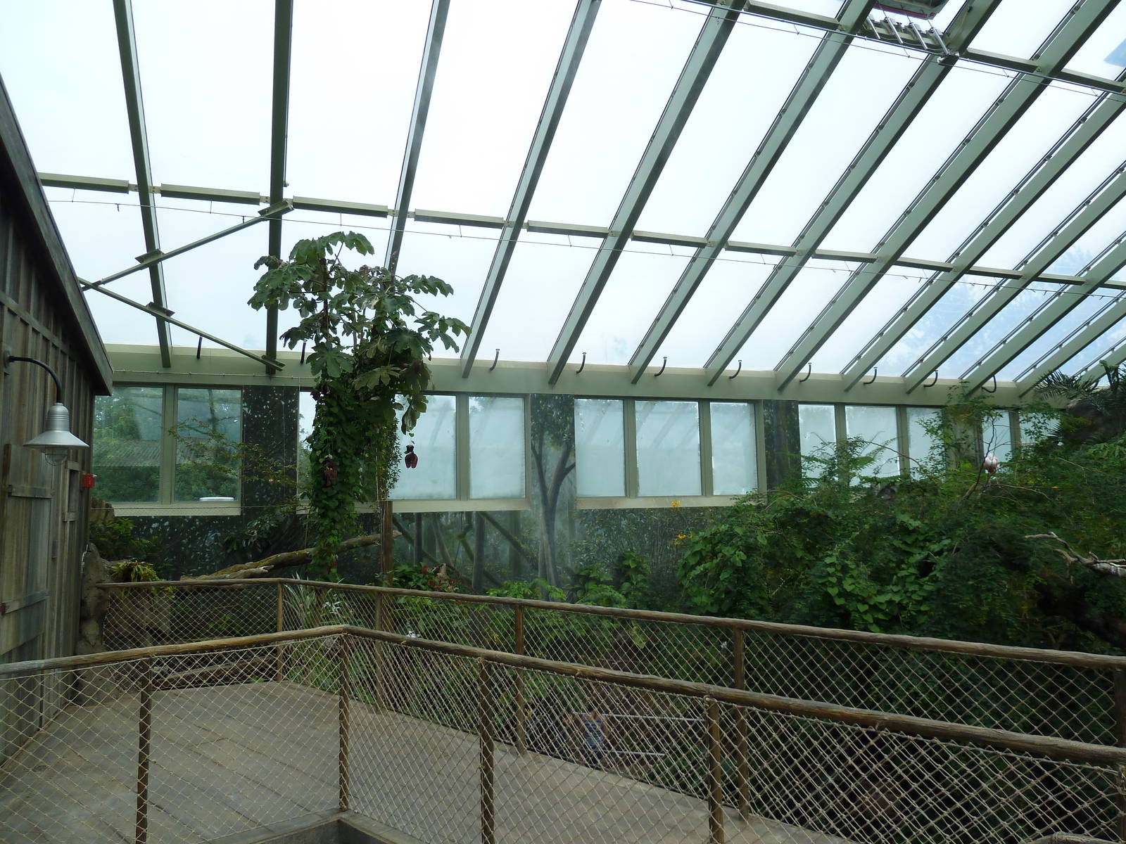 Rainforest Falls - Scenic Overlook