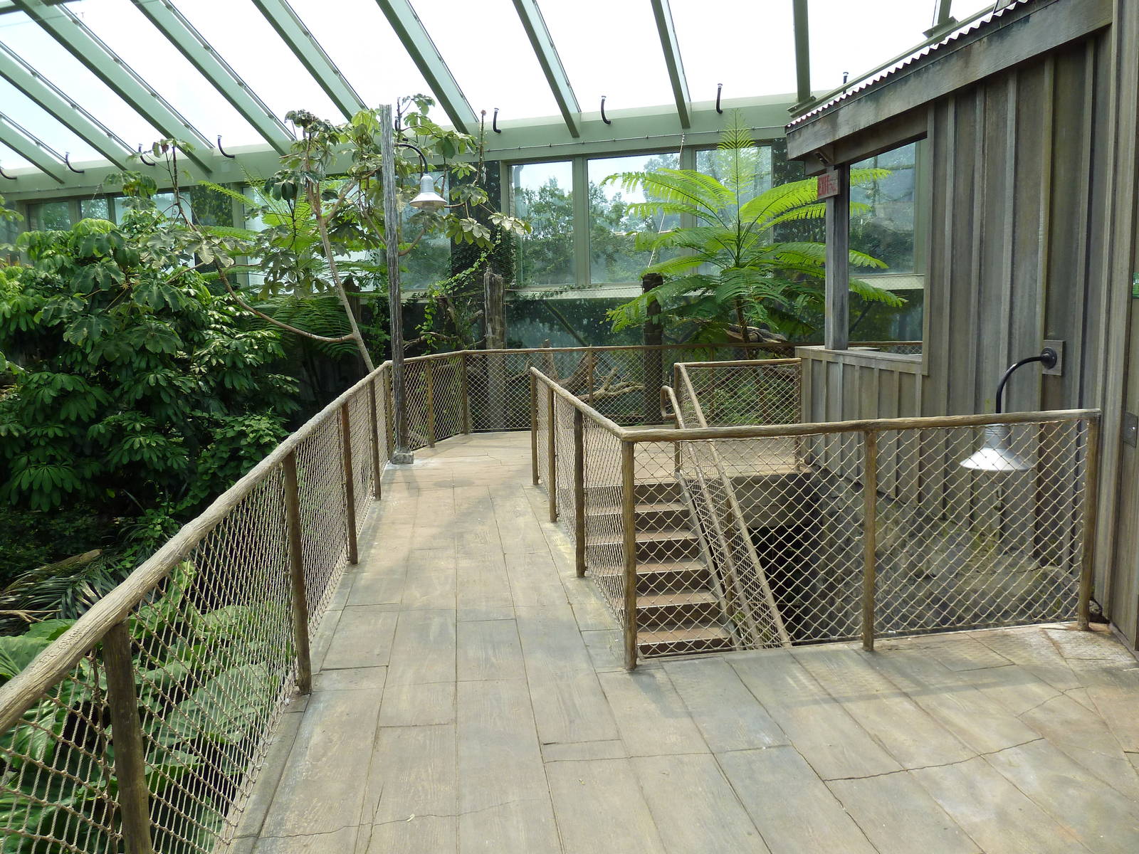 Rainforest Falls - Scenic Overlook