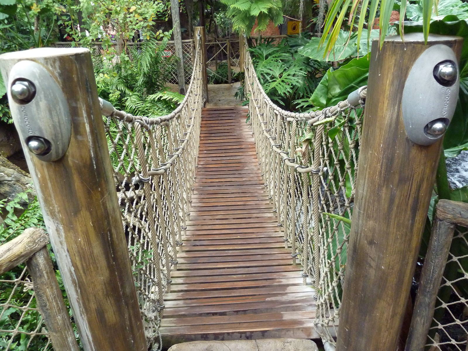Rainforest Falls - Suspension Bridge