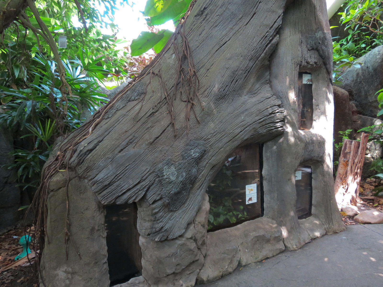 Rainforest - Four Terrariums in Simulated Trunk