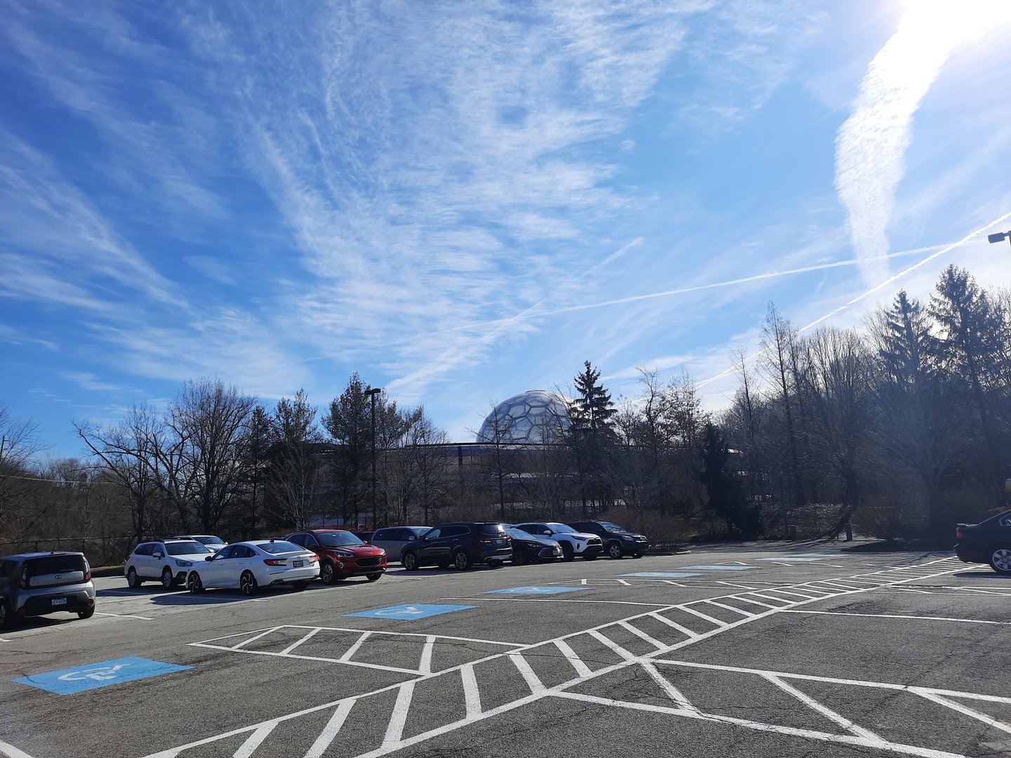 RainForest from the Parking Lot