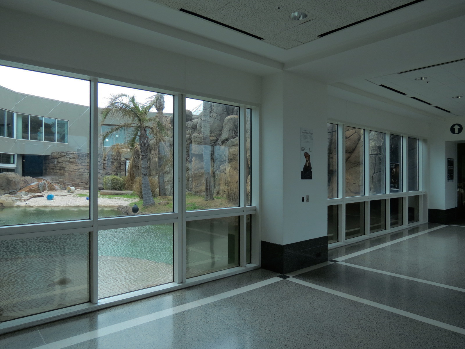Rainforest - Giant River Otter Exhibit - View From Visitor Center