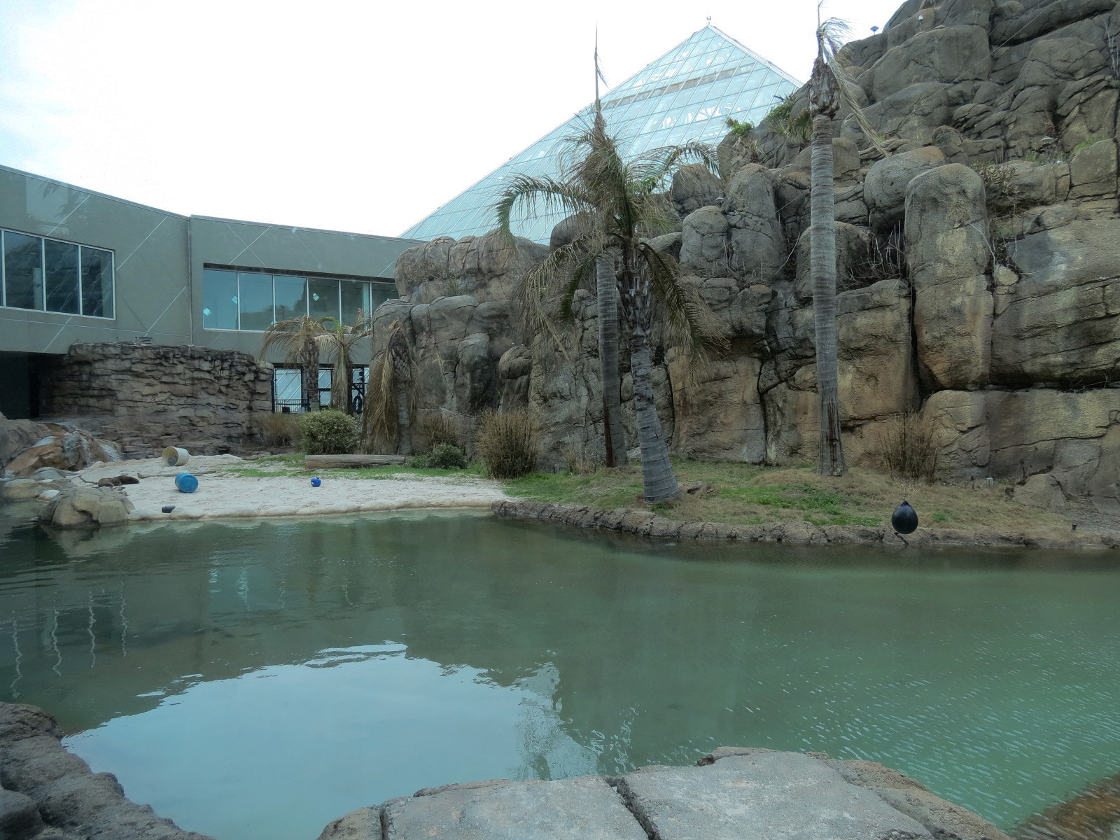 Rainforest - Giant River Otter Exhibit - View From Visitor Center
