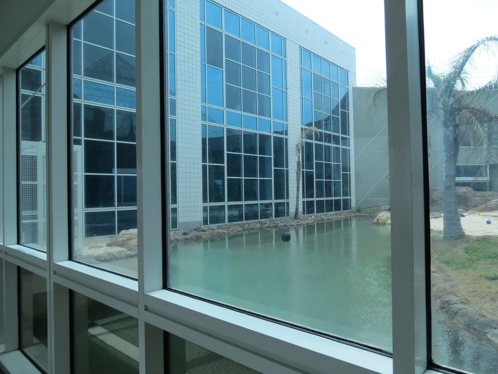 Rainforest - Giant River Otter Exhibit - View From Visitor Center