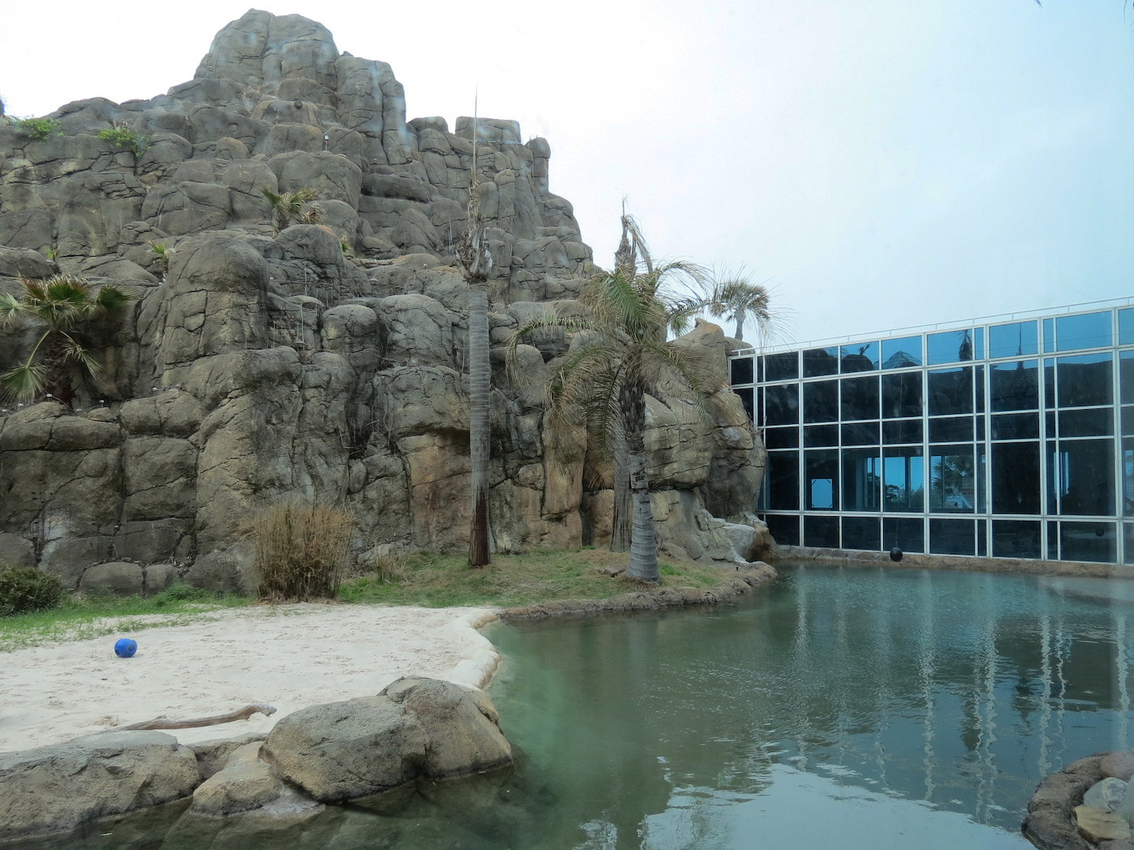 Rainforest - Giant River Otter Exhibit - View From Visitor Center