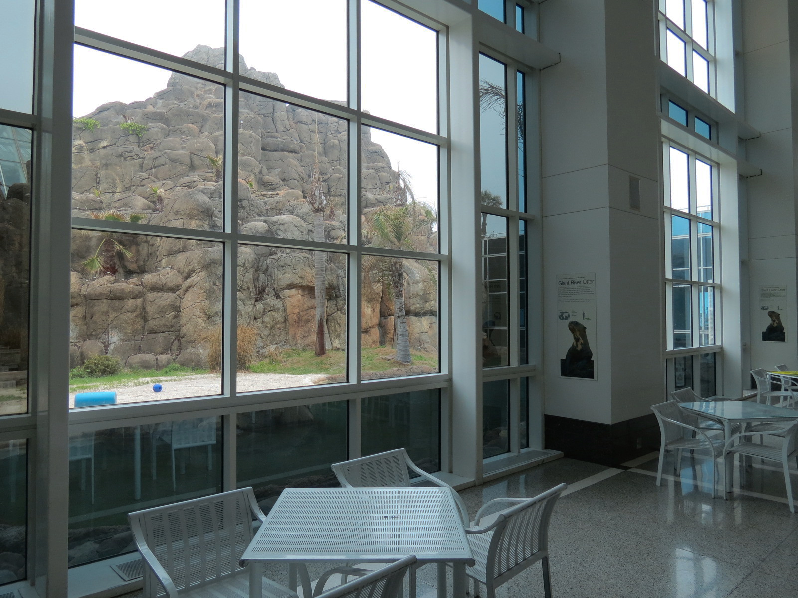 Rainforest - Giant River Otter Exhibit - View From Visitor Center