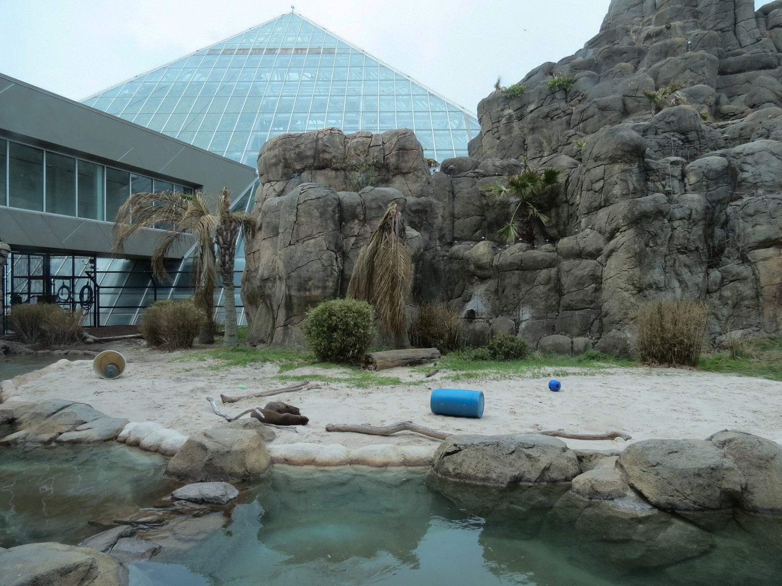 Rainforest - Giant River Otter Exhibit - View From Visitor Center
